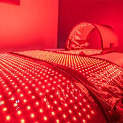 Chiropractic Lutz FL Red Light Therapy
